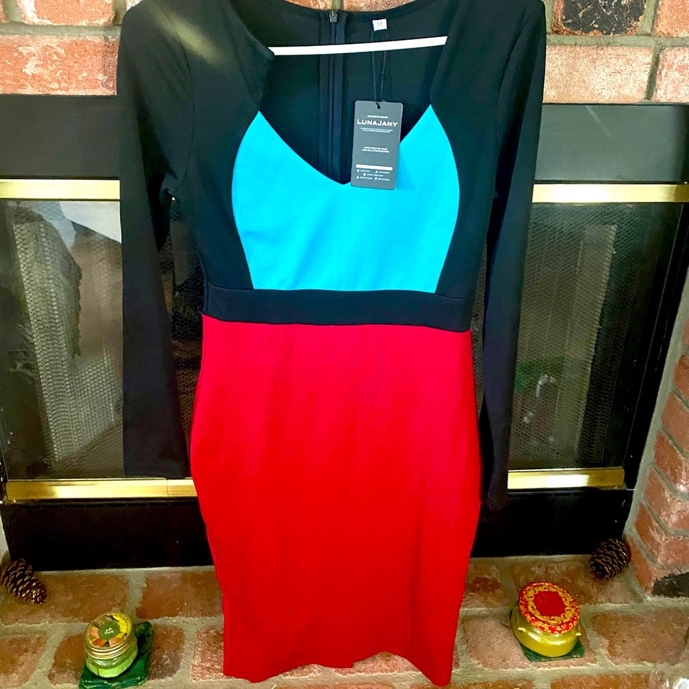 Brand new with tags LunaJany color block dress, size M.